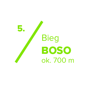 Boso
